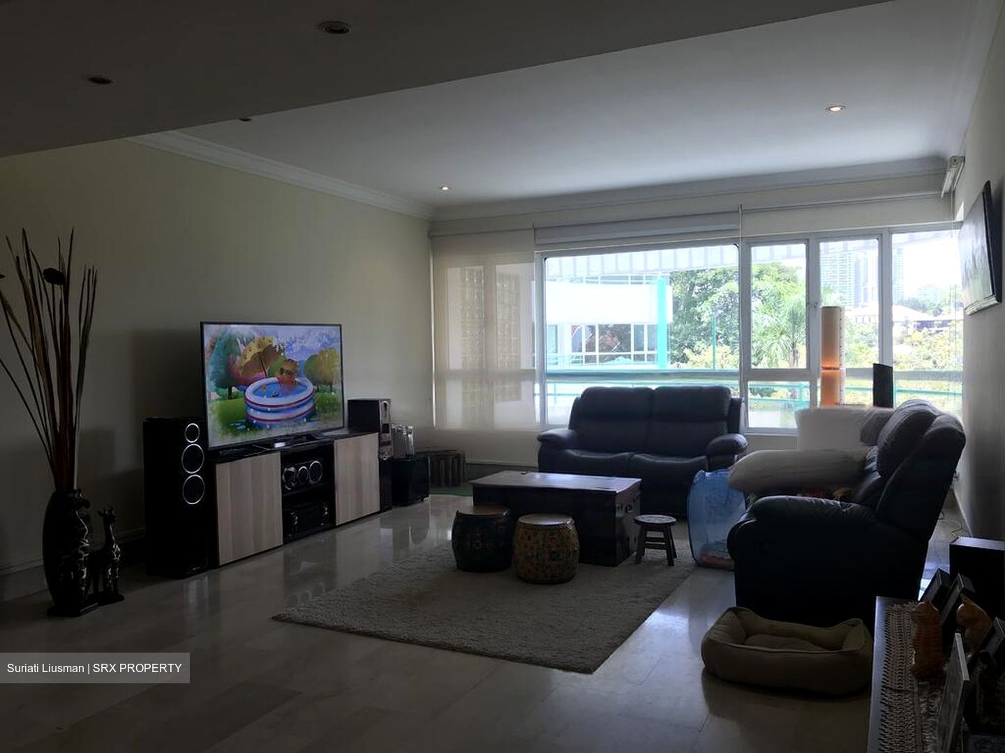 Chancery Park (D11), Condominium #486147171